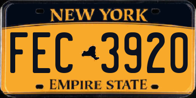 NY license plate FEC3920