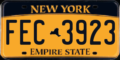 NY license plate FEC3923