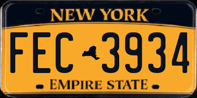 NY license plate FEC3934