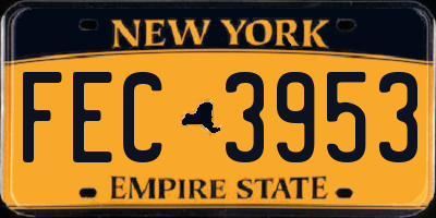 NY license plate FEC3953