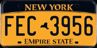 NY license plate FEC3956