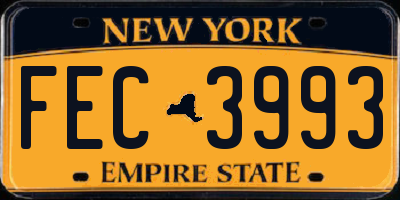 NY license plate FEC3993