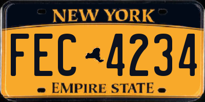 NY license plate FEC4234