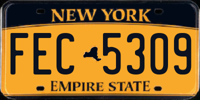 NY license plate FEC5309