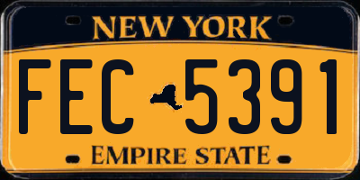 NY license plate FEC5391