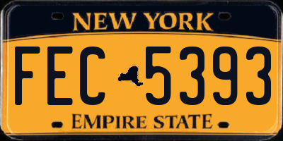 NY license plate FEC5393