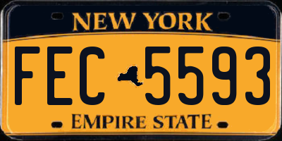 NY license plate FEC5593