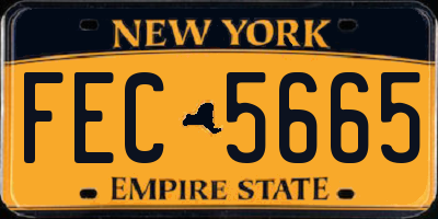 NY license plate FEC5665