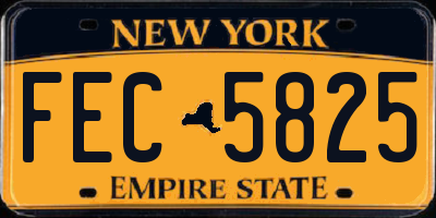 NY license plate FEC5825