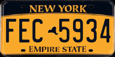 NY license plate FEC5934