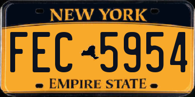 NY license plate FEC5954