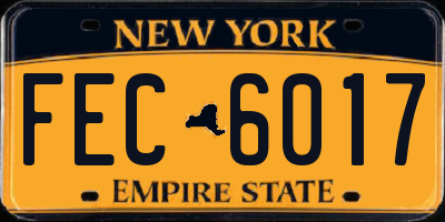 NY license plate FEC6017