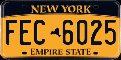 NY license plate FEC6025