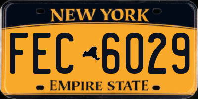 NY license plate FEC6029