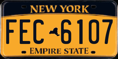NY license plate FEC6107