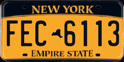 NY license plate FEC6113
