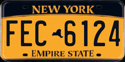 NY license plate FEC6124