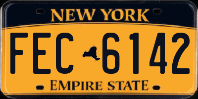 NY license plate FEC6142