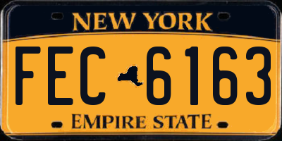 NY license plate FEC6163