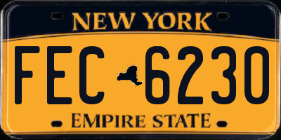 NY license plate FEC6230