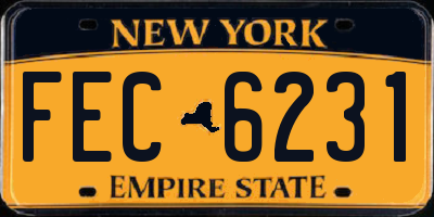 NY license plate FEC6231