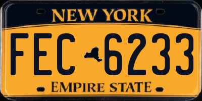 NY license plate FEC6233