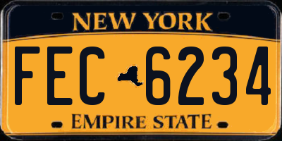 NY license plate FEC6234