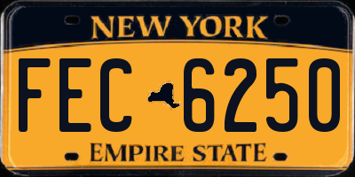 NY license plate FEC6250