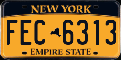 NY license plate FEC6313