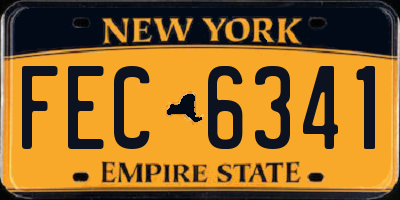 NY license plate FEC6341