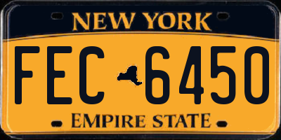 NY license plate FEC6450