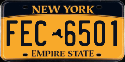 NY license plate FEC6501