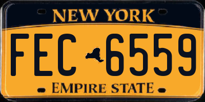 NY license plate FEC6559