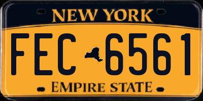 NY license plate FEC6561
