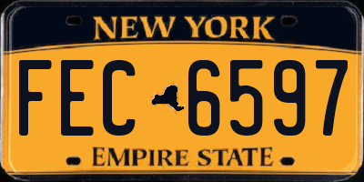 NY license plate FEC6597