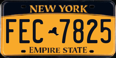 NY license plate FEC7825