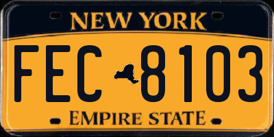 NY license plate FEC8103
