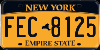 NY license plate FEC8125