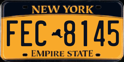 NY license plate FEC8145