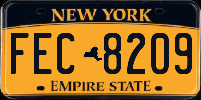 NY license plate FEC8209
