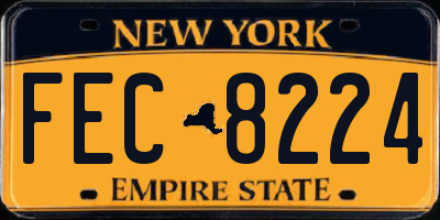 NY license plate FEC8224