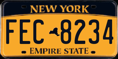 NY license plate FEC8234