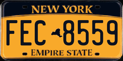 NY license plate FEC8559