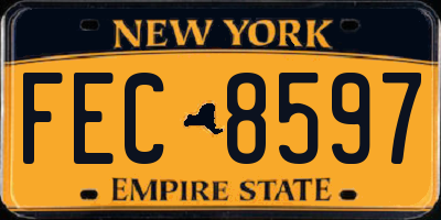 NY license plate FEC8597