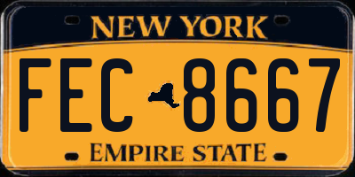 NY license plate FEC8667