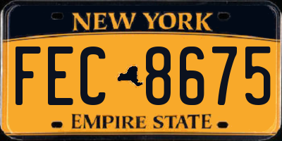 NY license plate FEC8675