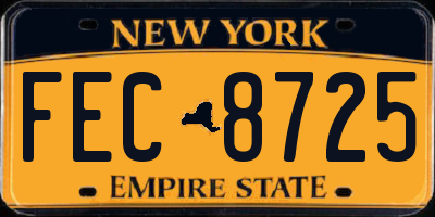NY license plate FEC8725
