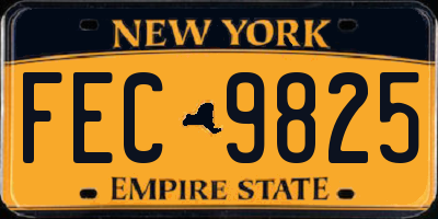 NY license plate FEC9825
