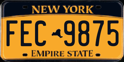 NY license plate FEC9875