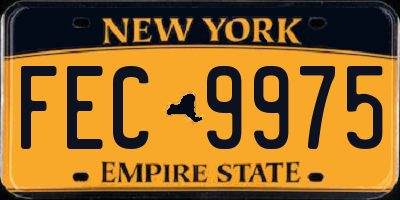 NY license plate FEC9975